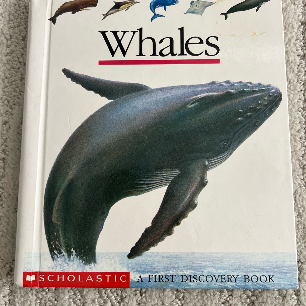 Scholastic First Discovery Scholastic Hardcover Whales